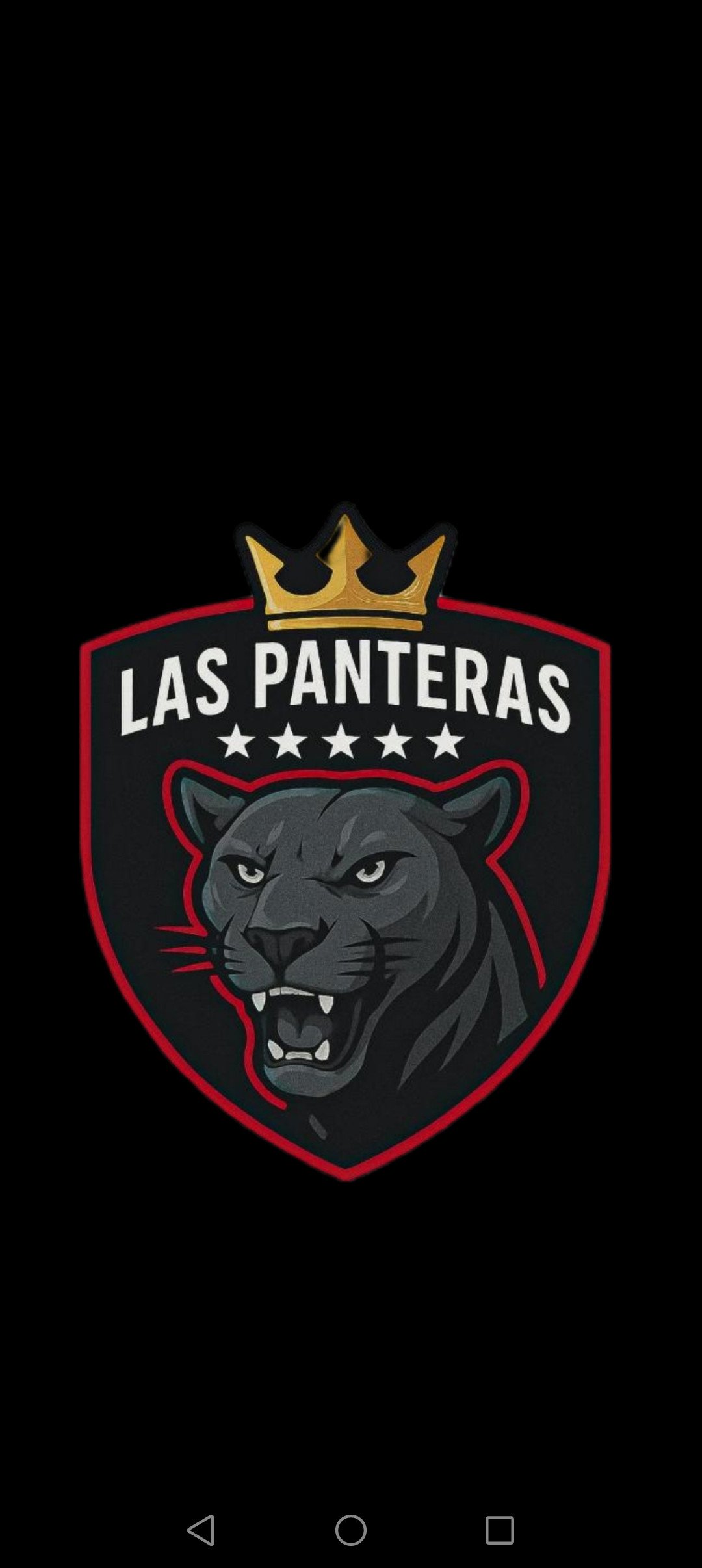 Academia de futbol las panteras