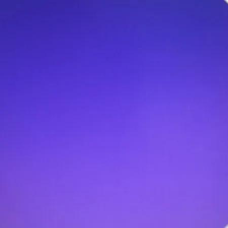 morado Barney 6º grado
