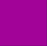 MORADO BARNY - 6° Grado