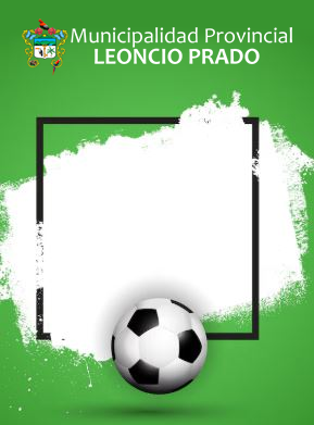 Municipalidad Provincial de Leoncio Prado