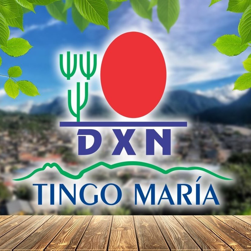 DXN Tingo MARÍA